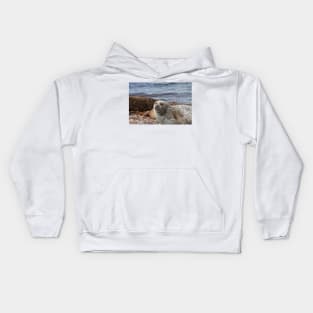 A common seal at Portgordon Scotland - 3 Kids Hoodie